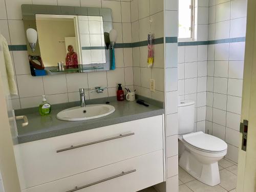 a bathroom with a sink and a toilet at Villa Happy View in Willibrordus