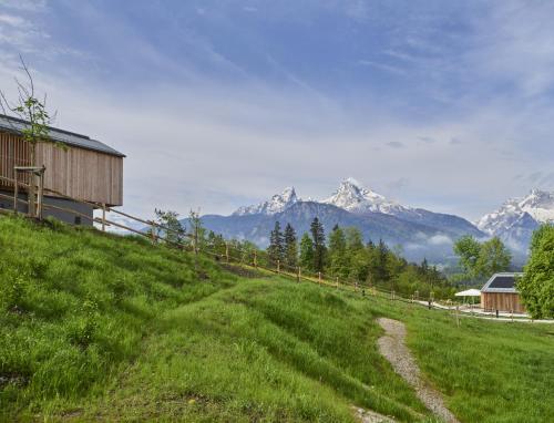 a grassy hill with snow capped mountains in the background at Kulturhof Stanggass in Bischofswiesen
