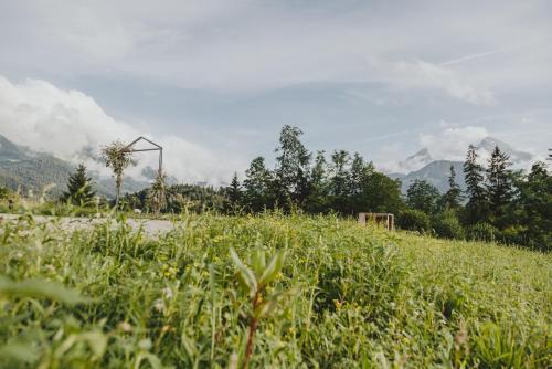 a field of tall grass with mountains in the background at Kulturhof Stanggass in Bischofswiesen