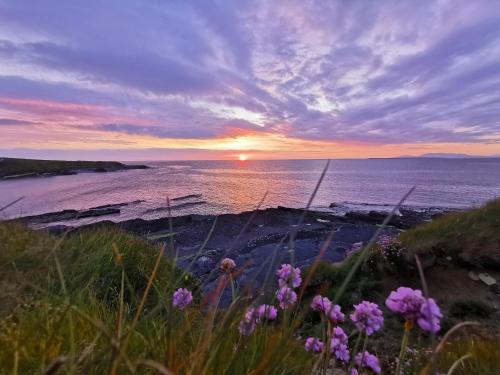 a sunset over the ocean with pink flowers on the shore at Ocean Heights B&B in Lissadell