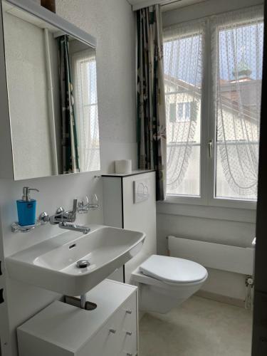 La salle de bains est pourvue d'un lavabo, de toilettes et d'un miroir. dans l'établissement Landgasthof Adler in 9304 Bernhardzell, à Häggenschwil