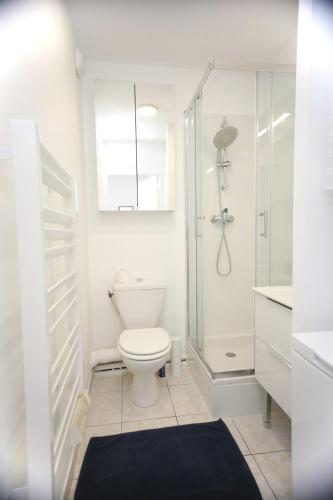 een witte badkamer met een toilet en een douche bij Charmant studio avec terrasse, refait à neuf in Aix-en-Provence