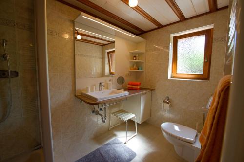 uma casa de banho com um lavatório, um WC e um chuveiro em Gästehaus Koch em Fischen