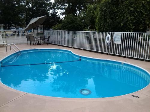 uma grande piscina azul num quintal em Willow Tree Inn Branson em Branson