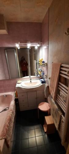 La salle de bains est pourvue d'un lavabo et d'une personne dans le miroir. dans l'établissement Le capitole, à Fréjus