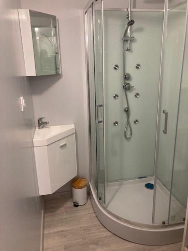 La salle de bains est pourvue d'une douche et d'un lavabo. dans l'établissement Agréable studio proche de Rouen, à Le Grand-Quevilly
