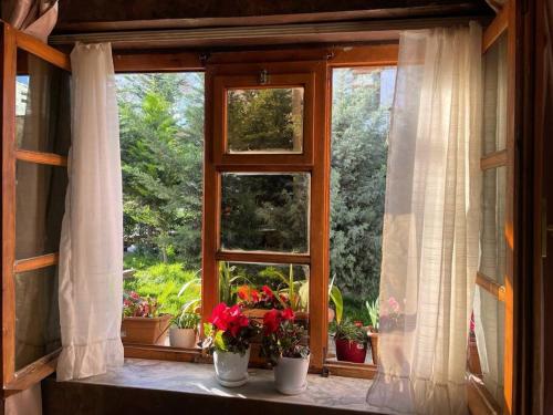 a window with potted plants on a window sill at Central Cozy Apartment Old Train Station in Tirana