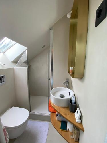 une salle de bain avec toilettes et lavabo dans l'établissement Le Loft Lepic, à Paris