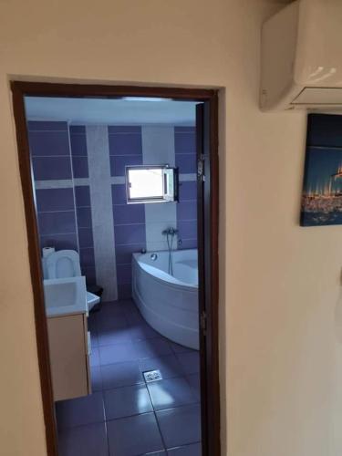 a bathroom with a tub and a toilet and a sink at Vila Madalina in Eforie Sud