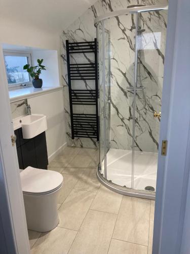 a bathroom with a shower and a toilet and a sink at Longhill Farmhouse in Whithorn