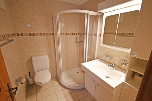 a bathroom with a shower and a toilet and a sink at La Paloma - a79627 in Brione sopra Minusio