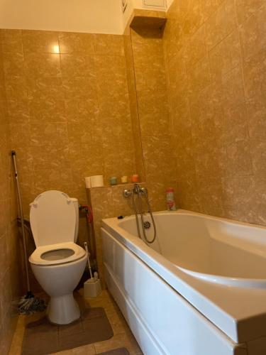 a bathroom with a toilet and a bath tub at Class Park Residence in Târgovişte