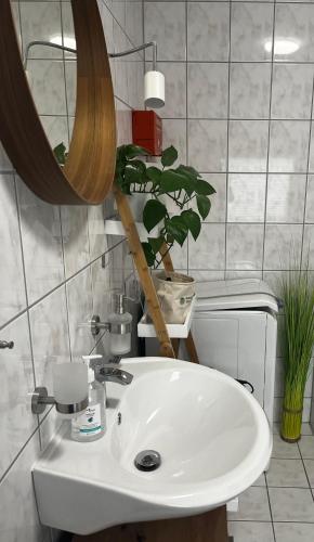 Koupelna v ubytování Ferienappartement Paula im Lausitzer Seenland