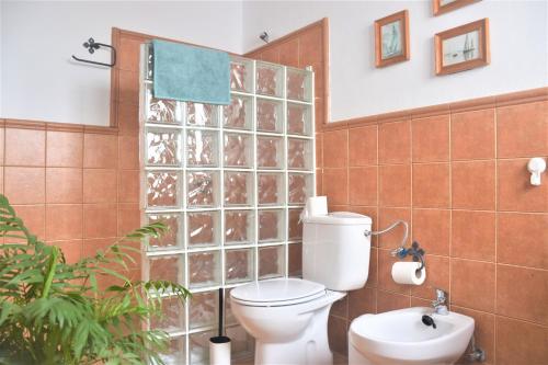 a bathroom with a toilet and a glass block wall at Casa Araviña in Icoro