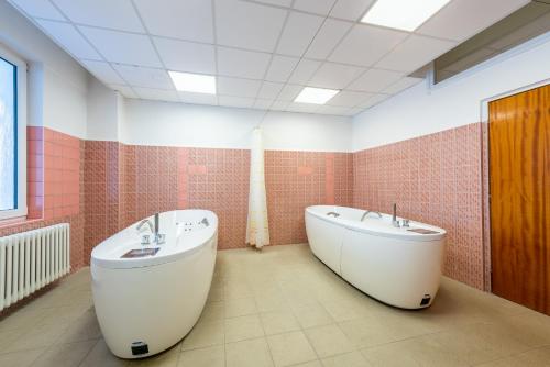 a bathroom with two sinks and a bath tub at HOTEL AGRI in Soběšice