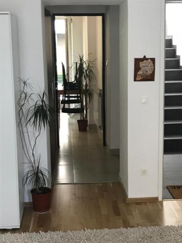 un pasillo con macetas y escaleras en una casa en Vienna city apartment 2, en Viena
