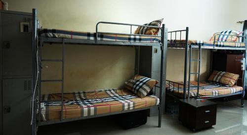 two bunk beds in a room with a dog on them at Brand New Boys Hostel & Furnished Holiday Home in Dubai