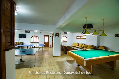 una sala de estar con una mesa de billar. en Pensiunea Pestisorul, en Dunavăţu de Jos