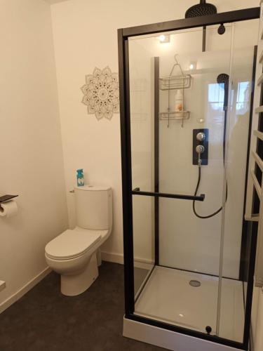 a bathroom with a toilet and a glass shower stall at Les chambres de la Vallée in Argenton-Château