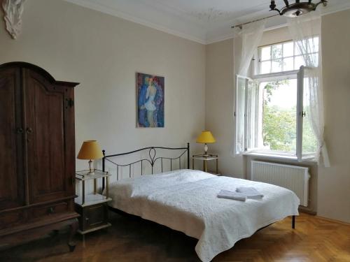 Un dormitorio con una cama grande y una ventana en Apartmány vila Liberty en Karlovy Vary