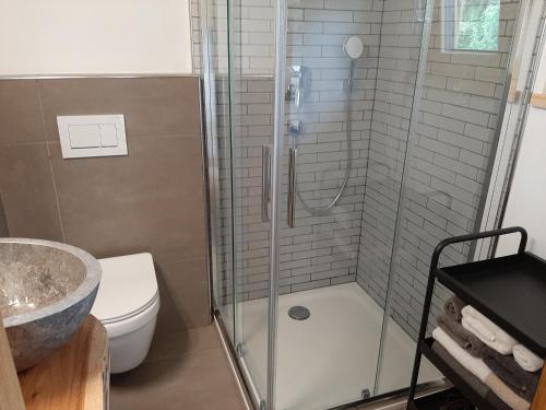 a bathroom with a shower and a toilet and a sink at Studio mit großer Loggia in Saalfelden am Steinernen Meer