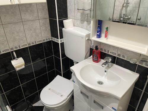 Ένα μπάνιο στο Apartman Helena