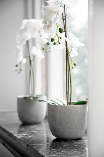 two vases with white flowers sitting on a counter at WOW, Föreningsgatan 9 in Gothenburg