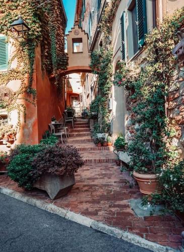 a brick alley way with stairs and plants at Lajatico Rentals - Terrazza sul Tramonto del Silenzio in Laiatico