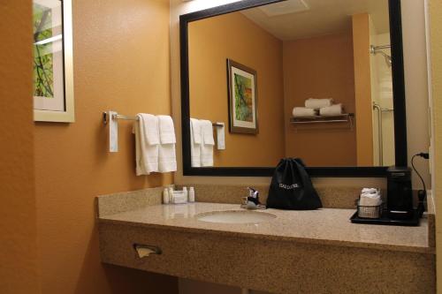 baño con lavabo y espejo grande en Fairfield by Marriott Frankfort, en Frankfort