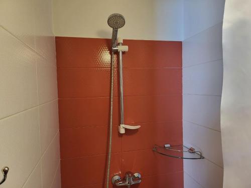 a shower in a bathroom with red and white tiles at Shadow Boutique Hotel & SPA in Chişinău