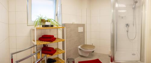 ein Badezimmer mit einer Dusche und einem WC mit roten Handtüchern in der Unterkunft Garden Town Appartement in Salzburg