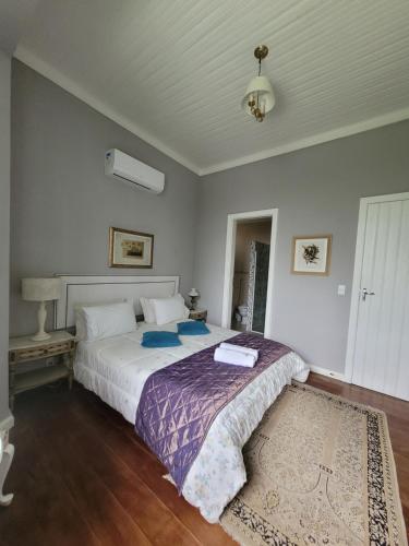 a bedroom with a large bed and a rug at Casa Villa Constanza in Itaipava