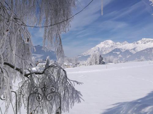 Studio mit großer Loggia en invierno