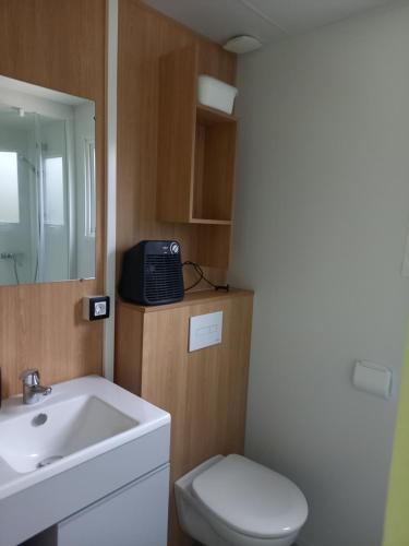 uma casa de banho com um lavatório, um WC e um espelho. em Mobil home yves et magali em La Garde-Freinet
