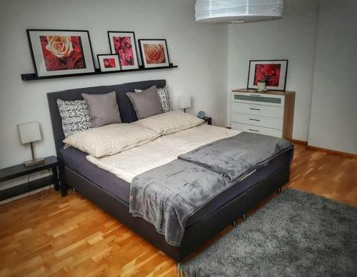ein Schlafzimmer mit einem großen Bett und einer Kommode in der Unterkunft Ferienwohnung Klagenfurt in Klagenfurt am Wörthersee