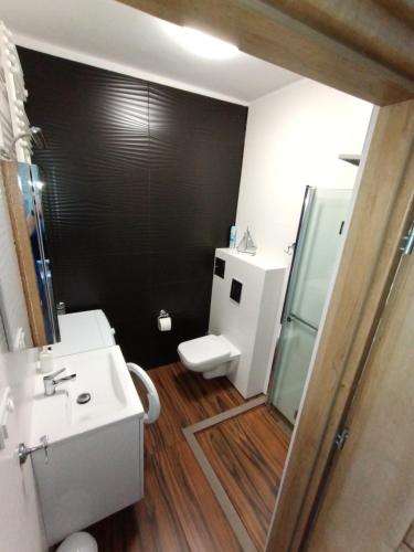 ein Badezimmer mit einem Waschbecken, einem WC und einem Spiegel in der Unterkunft Flamingo 20 in Misdroy