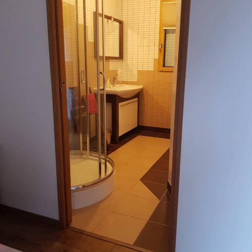 a bathroom with a shower and a sink at Magnifique villa avec piscine intérieure in Saint-Pois