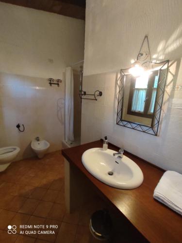 y baño con lavabo, aseo y espejo. en Agriturismo Asara, en Padru
