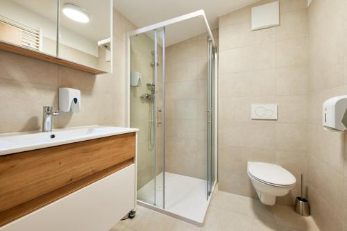 a bathroom with a shower and a toilet and a sink at Posestvo Rouna - winery and apartments in Vipava