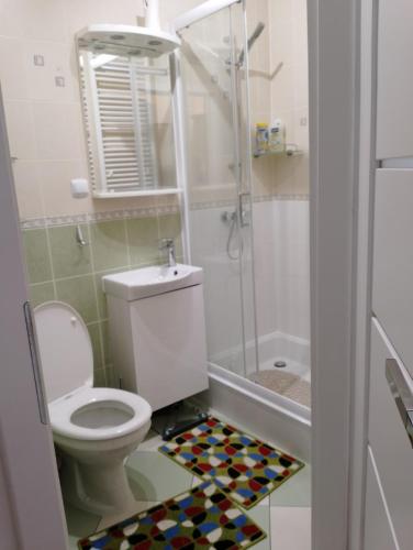 a bathroom with a toilet and a shower at Mieszkanie Jadwigi in Giżycko