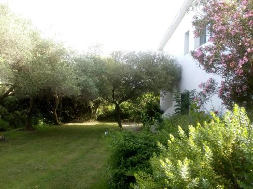 Gambar di galeri bagi Agriturismo Asara di Padru