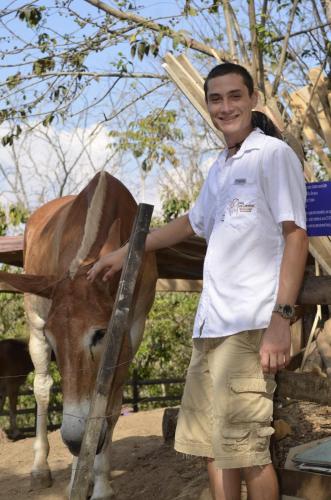 a man is standing next to a cow at Finca Los Caballos Montezuma in Montezuma