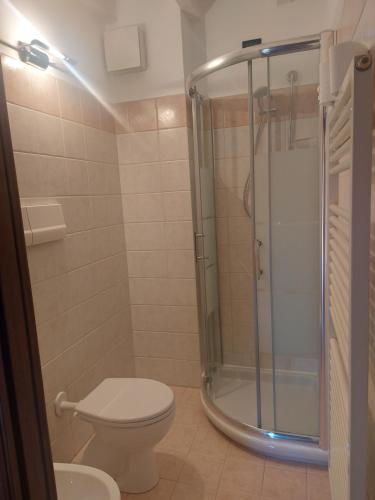y baño con aseo y ducha. en Loft Centro storico, en Sarnico
