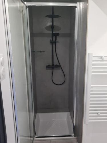 une douche avec une porte vitrée dans une salle de bain dans l'établissement Logis des Bouchons, à Morteau