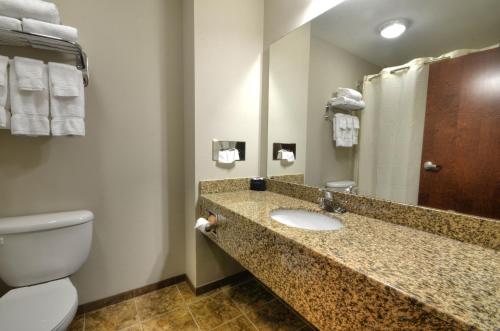 a bathroom with a toilet and a sink and a mirror at Stonebrook Lodge in Cherokee