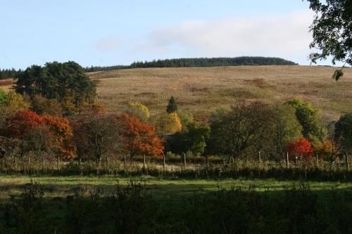 Falstone Barns – Photos 4