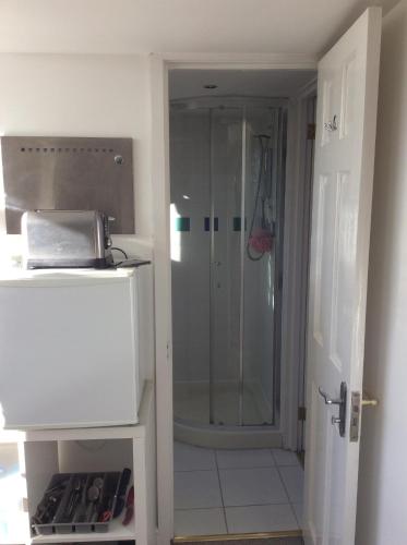 een badkamer met een douche en een glazen deur bij Cosy Loft Apartment in Georgian Home in Plymouth