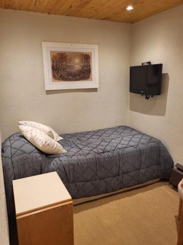 a bedroom with a bed and a flat screen tv at Departamento en Edificio Atenas con excelentes Vistas in Las Lenas