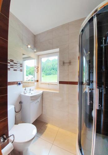 a bathroom with a toilet and a sink and a shower at Pokoje Czajka- Agroturystyka in Ochotnica Górna