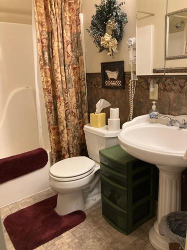 ein Bad mit einem WC und einem Waschbecken in der Unterkunft The Place on the Blue Ridge Parkway in Ore Knob